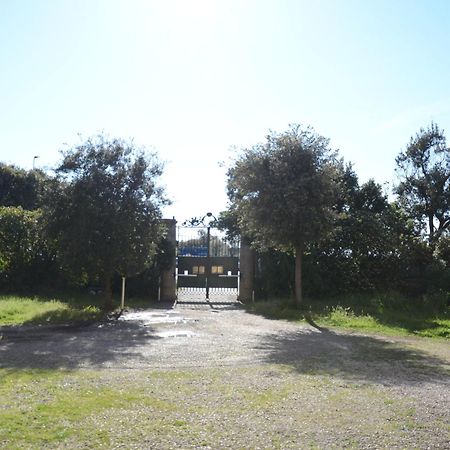 Villa Anselmi - Arteindiretta Livorno Zewnętrze zdjęcie
